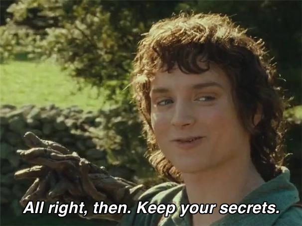 All right Keep Your Secrets Meme with Frodo - DJI Osmo Action Review